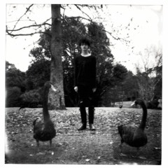 Evergreen (feat. Lontalius & Instupendo)