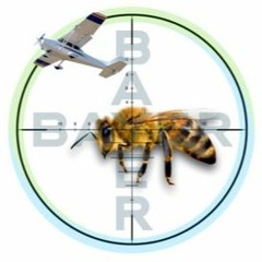 Muerte masiva de abejas. Entre la revolución 4.0 y el trastorno de colapso de colonias
