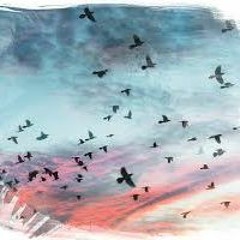 Little Scaler -expressive, melodic solo piano