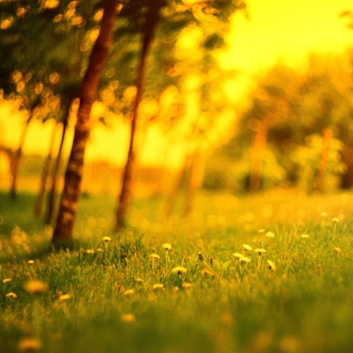 Sepia Sundance Mixtape