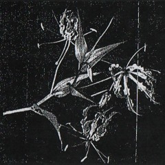 insomnolence (acoustic)