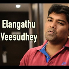 Elangathu Veesudhey | Pithamagan | Ilayaraja | Venkat