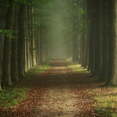 The Intro X Feel It Still (VICKERS LANE Edit)