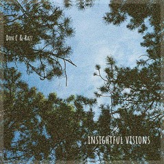 don C & Razz - Insightful Visions [full album]