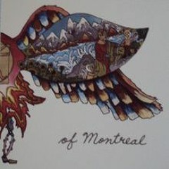 Suffer For Fashion -Cover