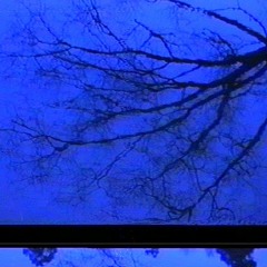 love me like i'm dead