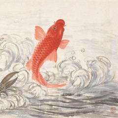 the things i don't understand