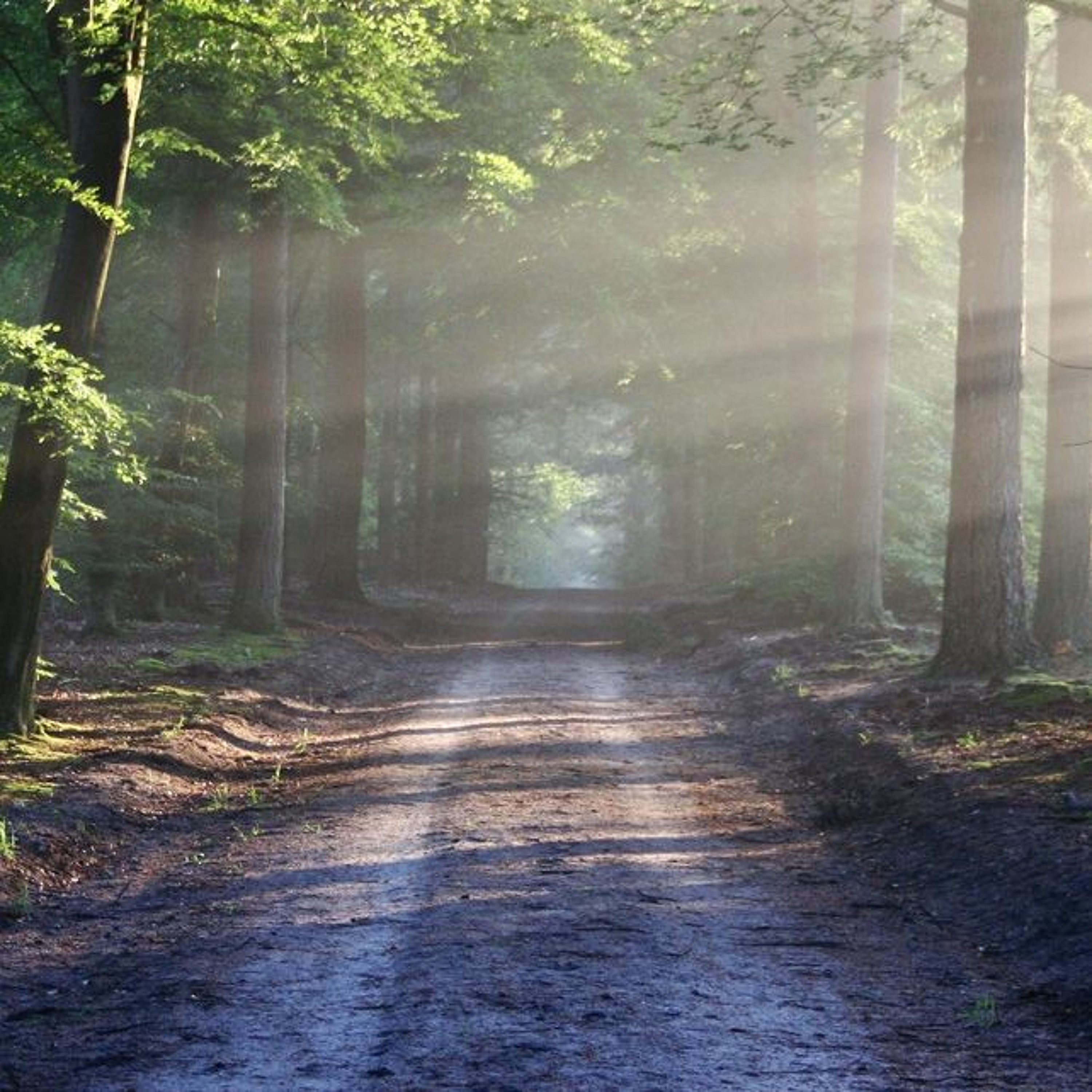 Natural Meditation podcast