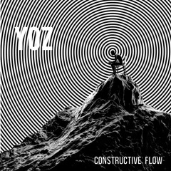 Constructive Flow