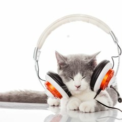 Music favorite