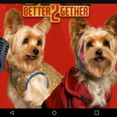 Better 2 gether pup star 0w0