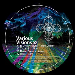 Various Visions 02 (Circle Vision) [CV009]
