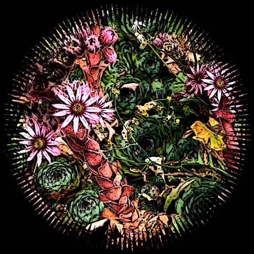 Fail And Error - Shooting Up Like Weed