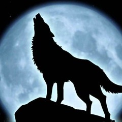Hard Wolfe - Nigthmare
