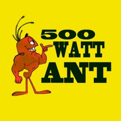 500 WATT ANT