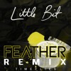 timeflies-little-bit-feather-remix-feather