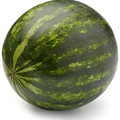 Europe pre tour j-mgli podcast july2018