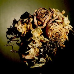 Amar (La Oportunidad)