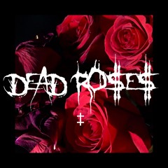 Dead Roses