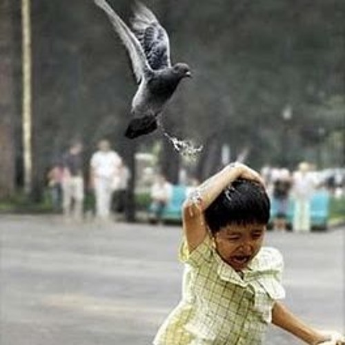 Eu comi coco de pombo[prod. Yung Bostola]