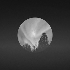 DJ Northern Lights - Never Been There