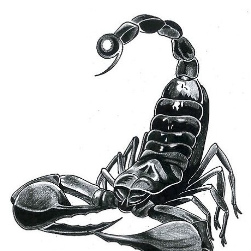 Scorpio Sting