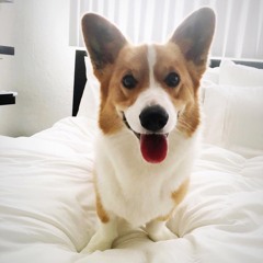 Full Send For Charlie