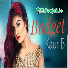 Budget Kaur b