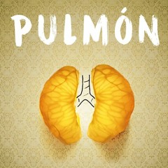 La Importancia del Abrigo (Maqueta)