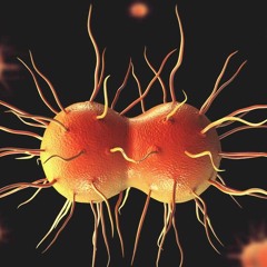 Sandy (Prod. Jew Ranch)