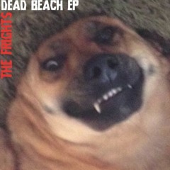 the frights - kids on drugs