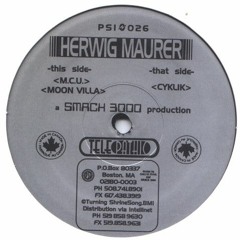 Herwig Maurer - Cyklik (Techno 1996)