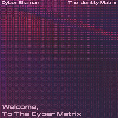 Lost Horizon - Cyber Shaman and The Identity Matrix