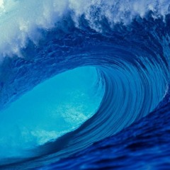 Mushroom People - On The Road (Official Video 4K)