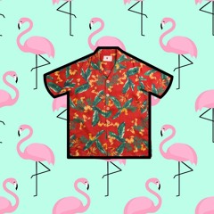 Hawaiian Button Up