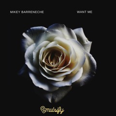 Mikey Barreneche - Want Me