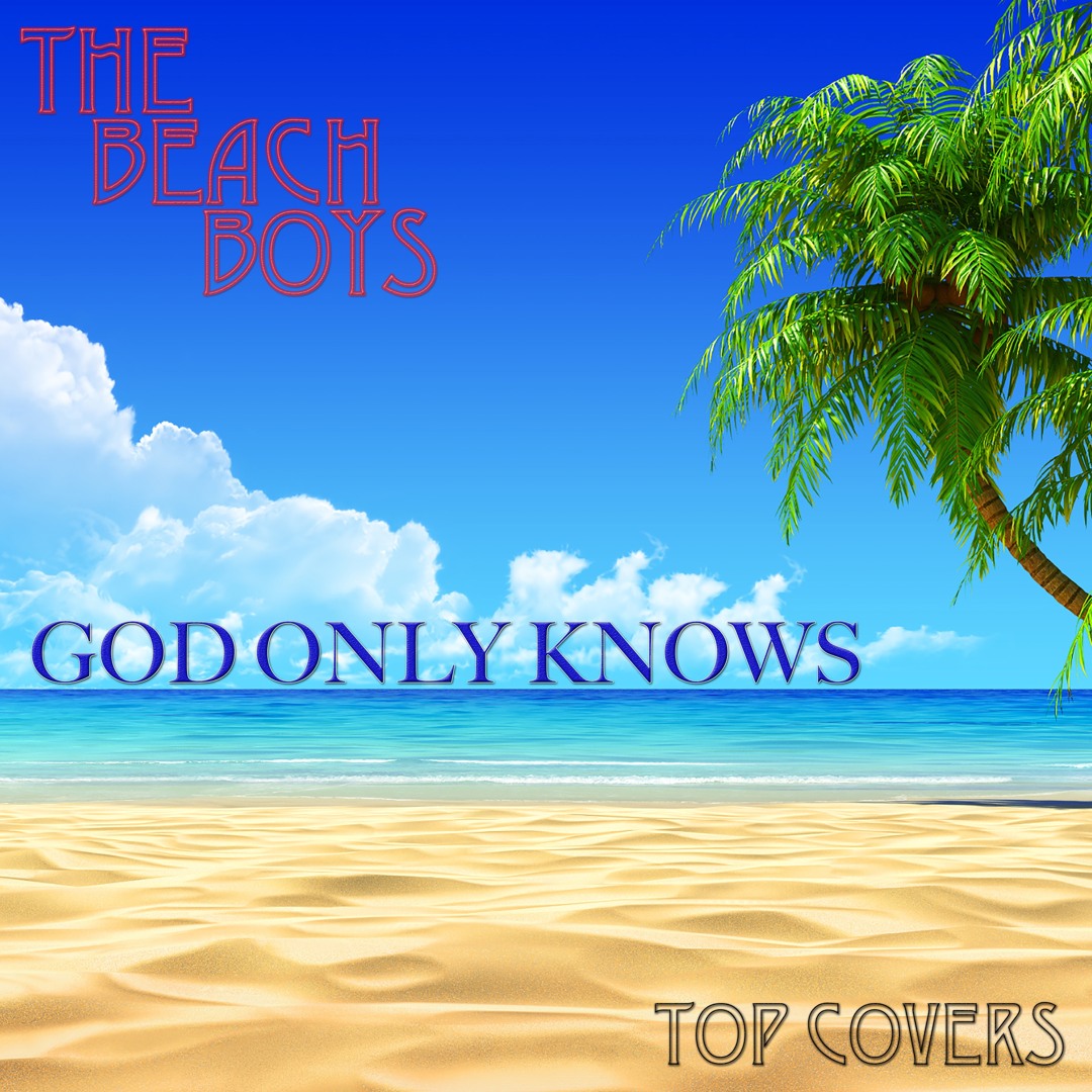 ◾️究極USオリジナル白ラベルプロモ盤/傑作□THE BEACH BOYS / ザ