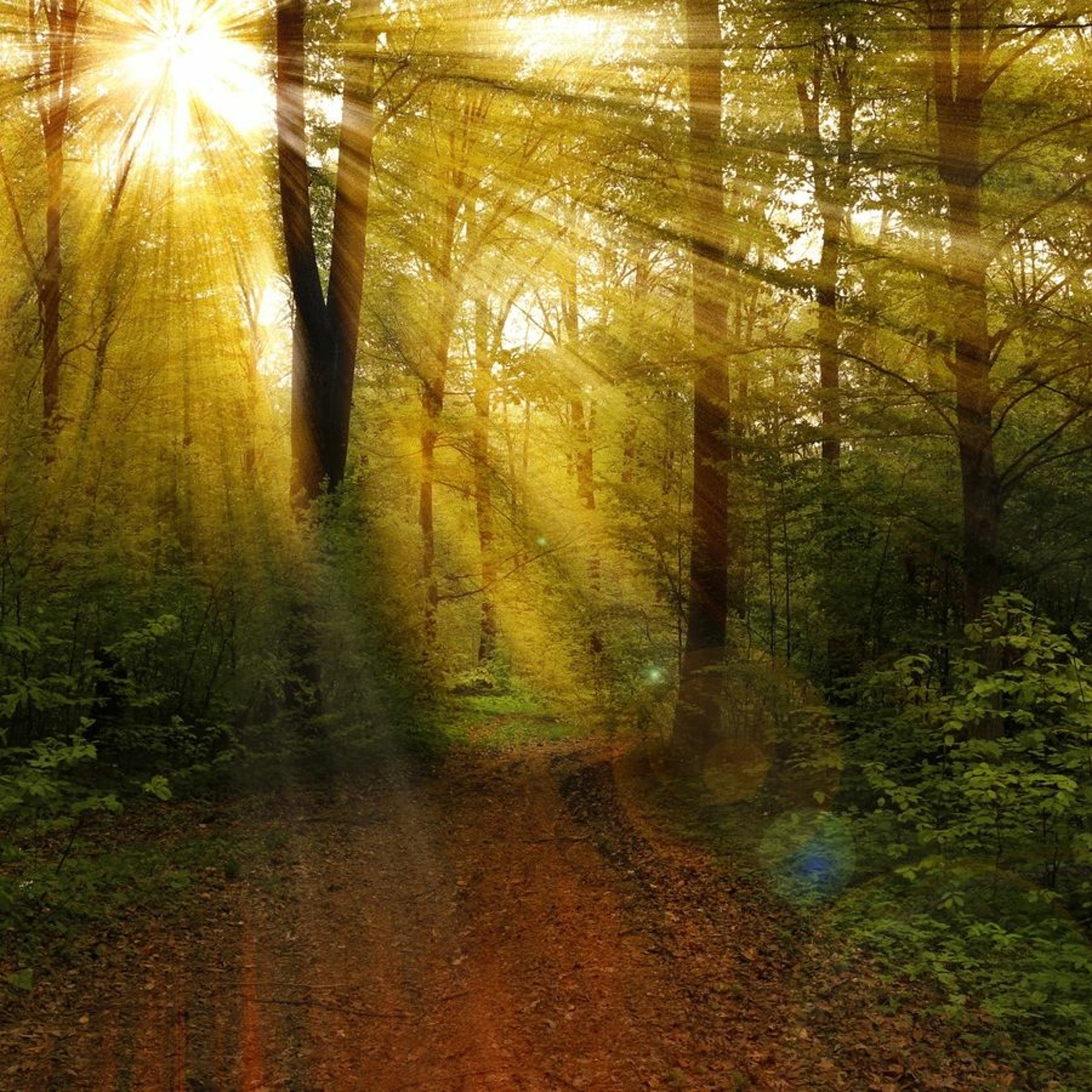 Natural Meditation podcast