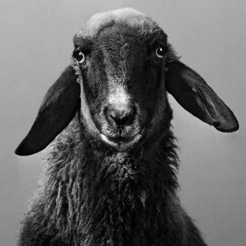 Stream Episode 27 Techno x House x Bass Sardinien Travel Set 🌴🌴 by