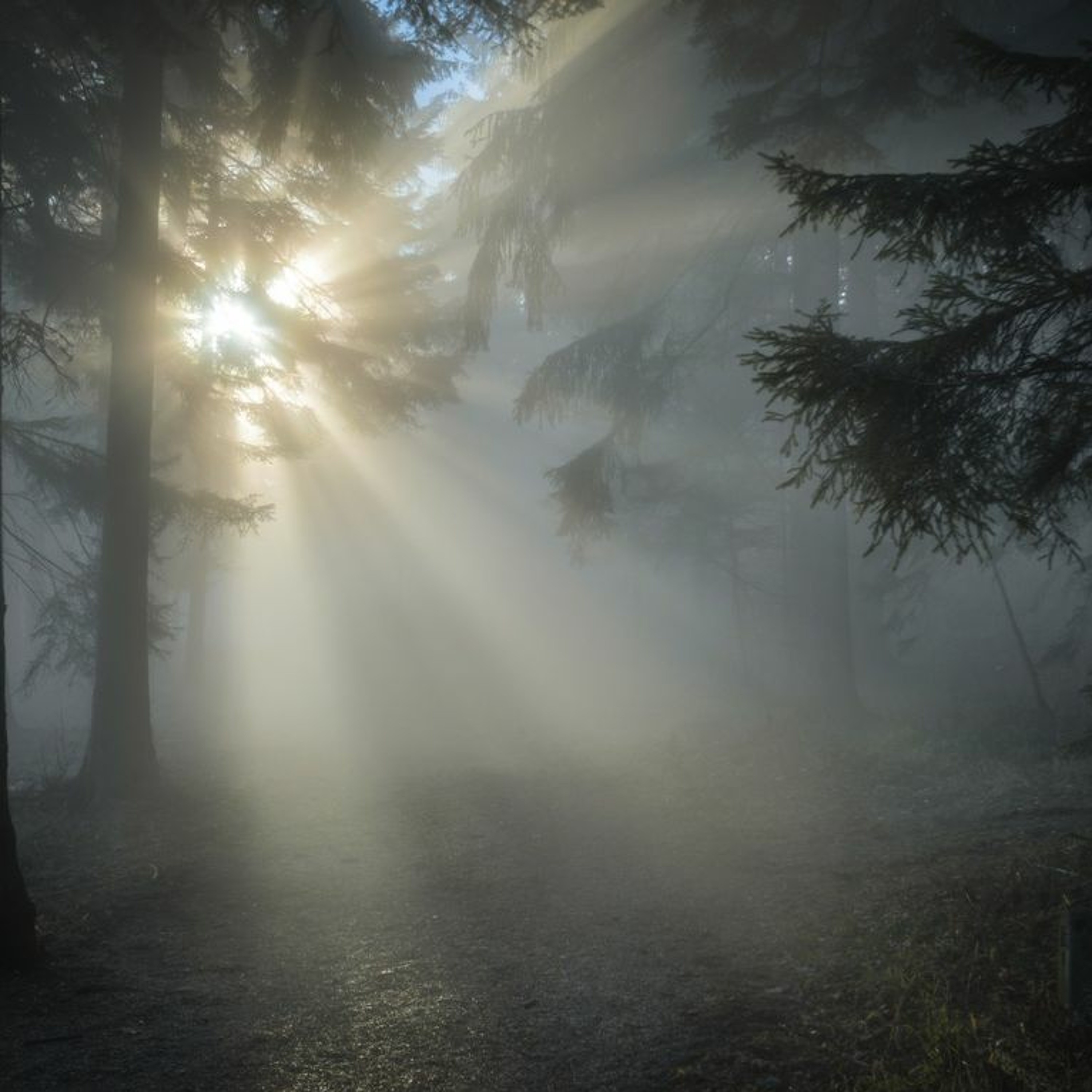 Natural Meditation podcast