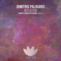 Dimitris Palikaris - Intuition( Adiru remix)