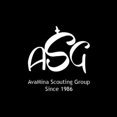 A7la ksa (avamina scouting group)