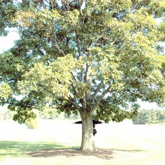 아마 늦은 여름이었을꺼야(Maybe it was late summer) club recited ver.