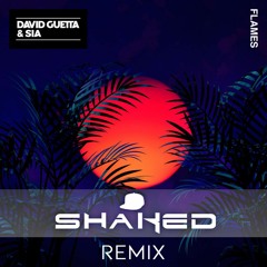 David Guetta & Sia - Flames (SHAKED Remix)