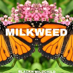 REBIRTH (Prod. VANGARD)