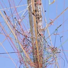Zaatari Radio 08: Seeds Of Tomorrow By MoعEn