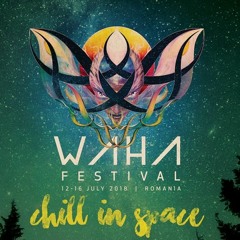 Plusculaar @ Waha Festival 2018 - Chill In Space