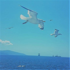 TA NISIOTIKA vol.1 : Cyclades