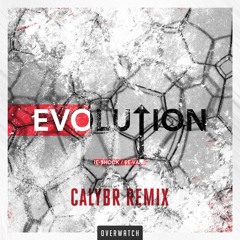 Re-Shock & Re-vamp - Evolution (Calybr Remix)