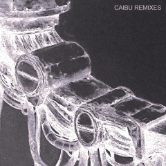 SCB - Extinct (Ireen Amnes Remix)